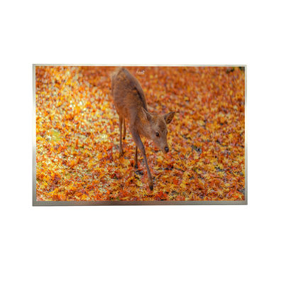 8' IPS FHD LVDS TFT Дисплей 1000cd Светимость 1920*1200 Разрешение